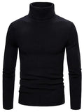Hayes | Men's Roll Neck Jumper Knit Crew