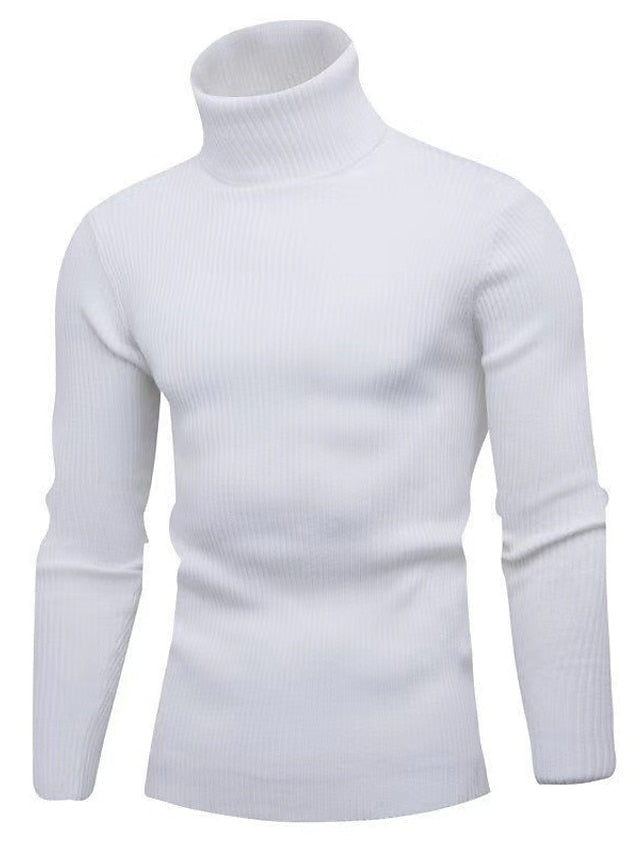 Hayes | Men's Roll Neck Jumper Knit Crew